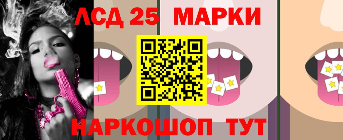 blacksprut сайт  Вход с VPN  ЛСД экстази  Новозыбков  Лсд 25 экстази ecstasy 