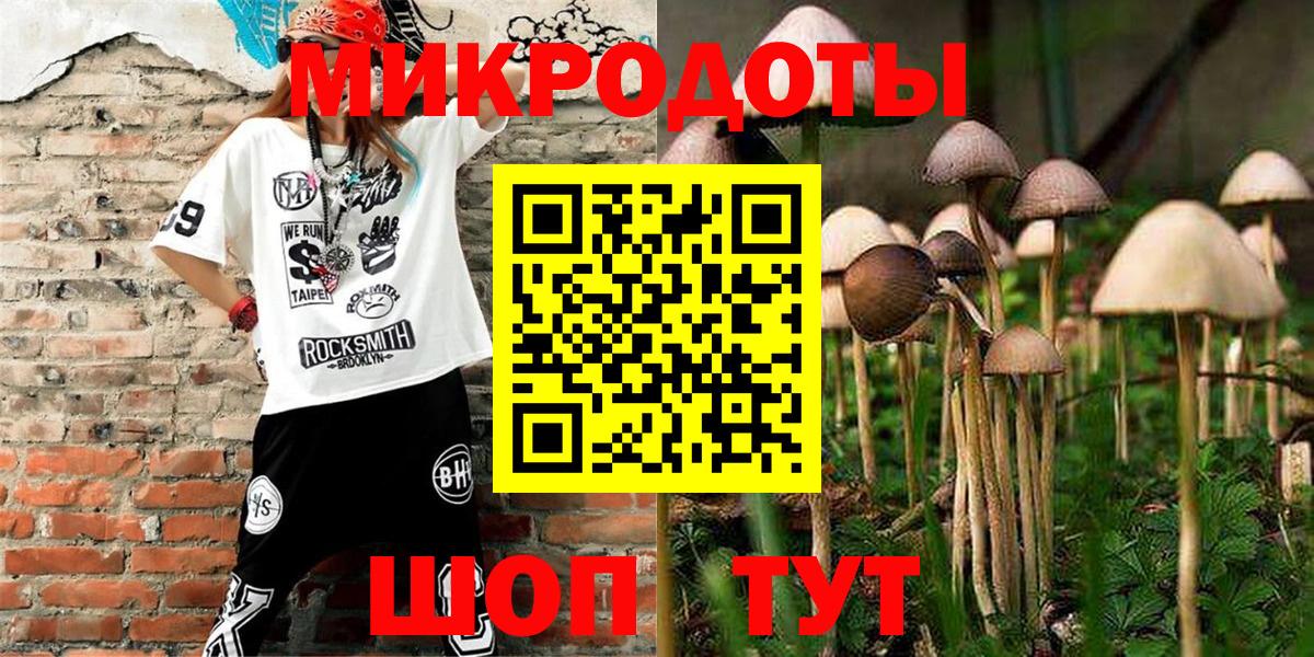 Псилоцибиновые грибы прущие грибы Новозыбков